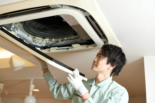 Best Air Vent Cleaning Services  in West Point, MS